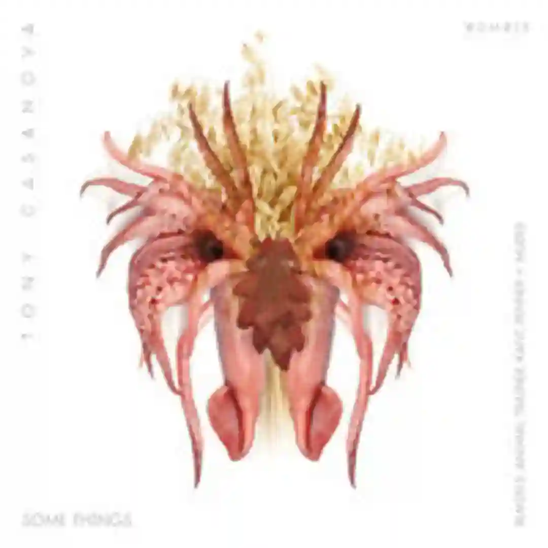 Some Things (Original Mix) cover