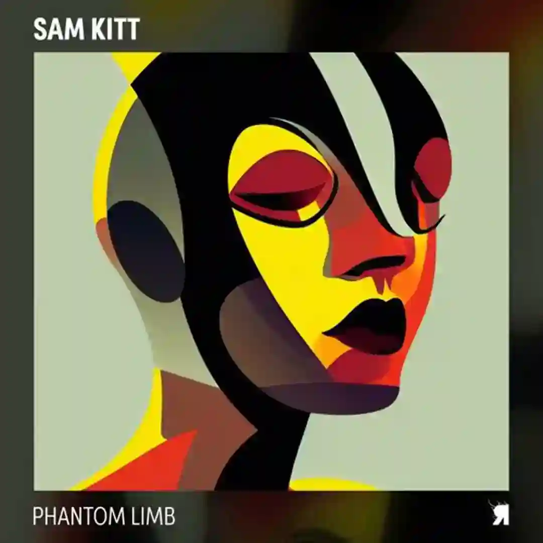 Phantom Limb cover
