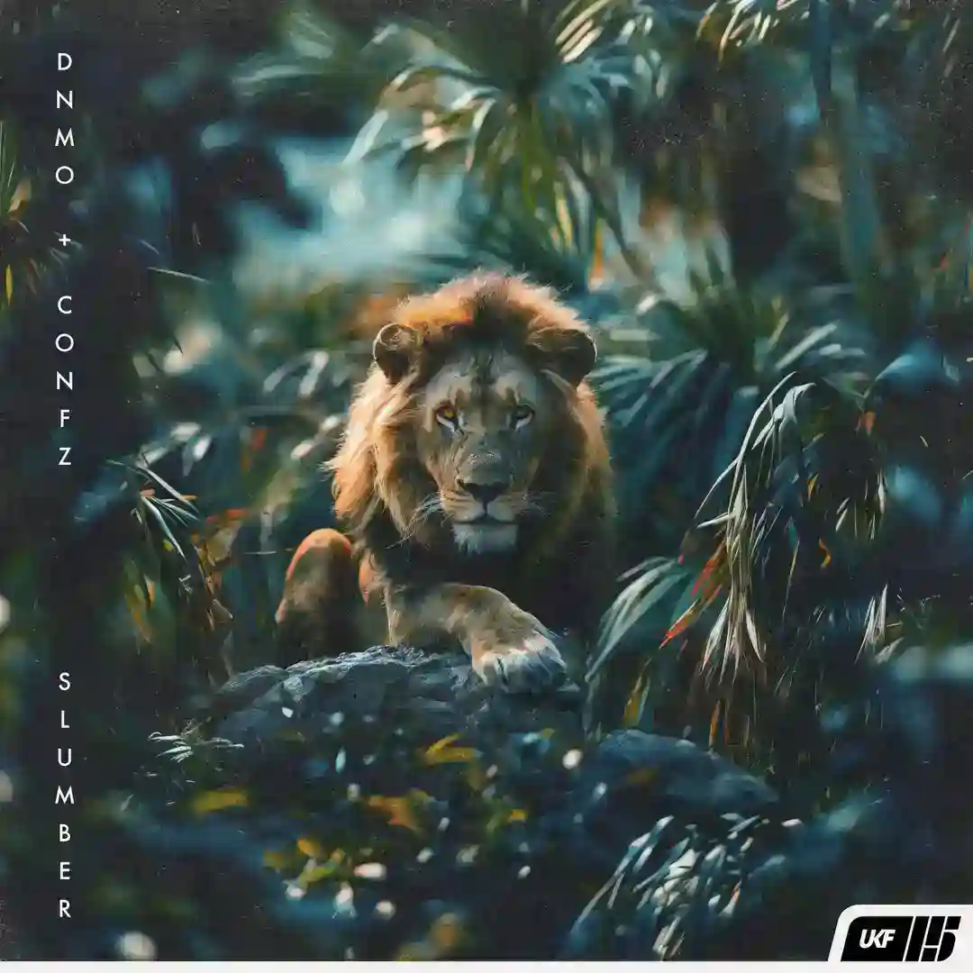 Slumber cover