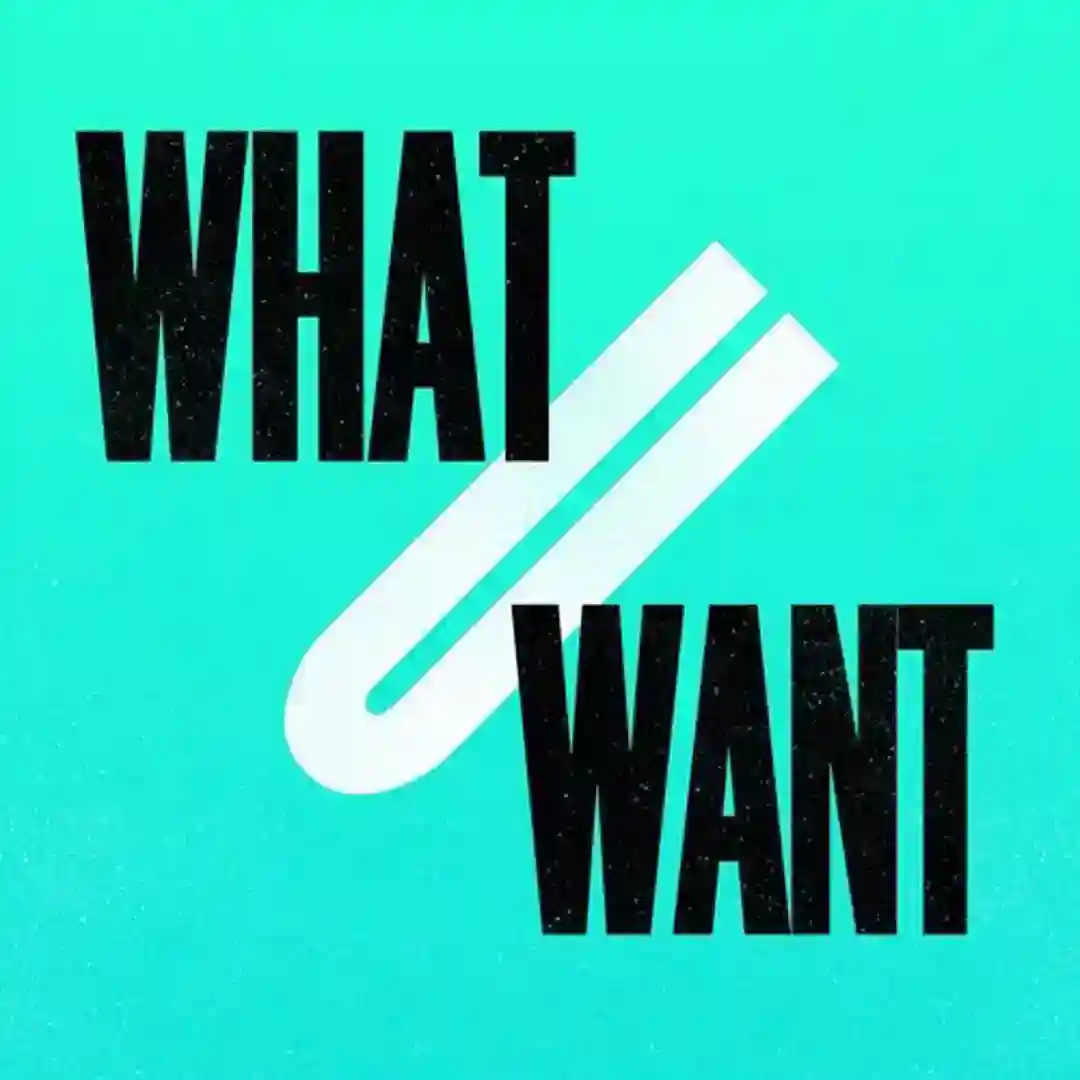 What U Want(Feat. J Paul Getto) (2017 Refix) cover