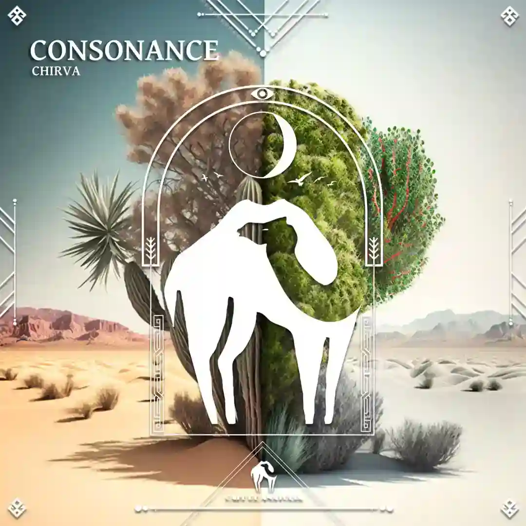 Consonance cover