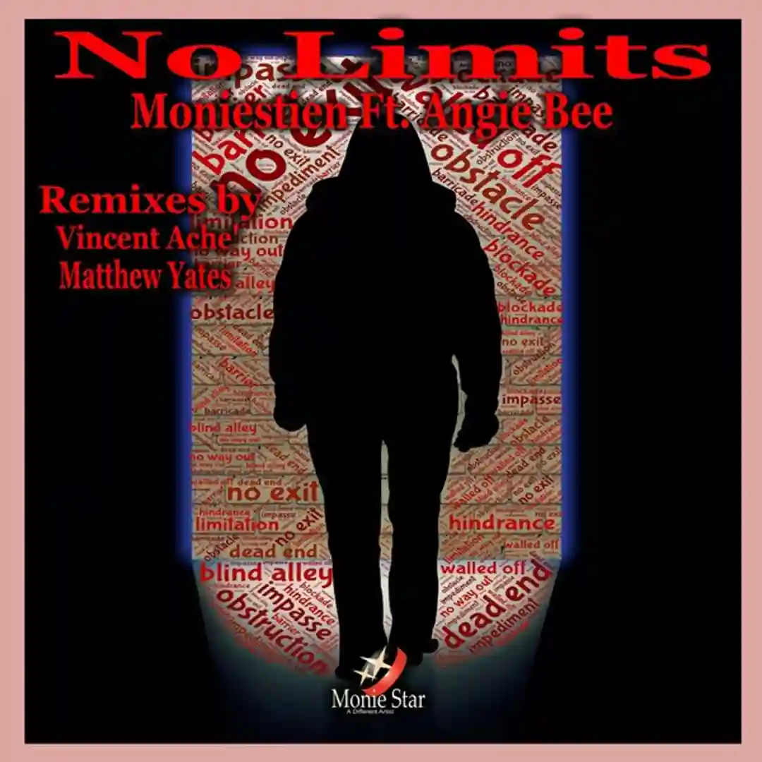 No Limits feat. Angie Bee (Matthew Yates Remix) cover