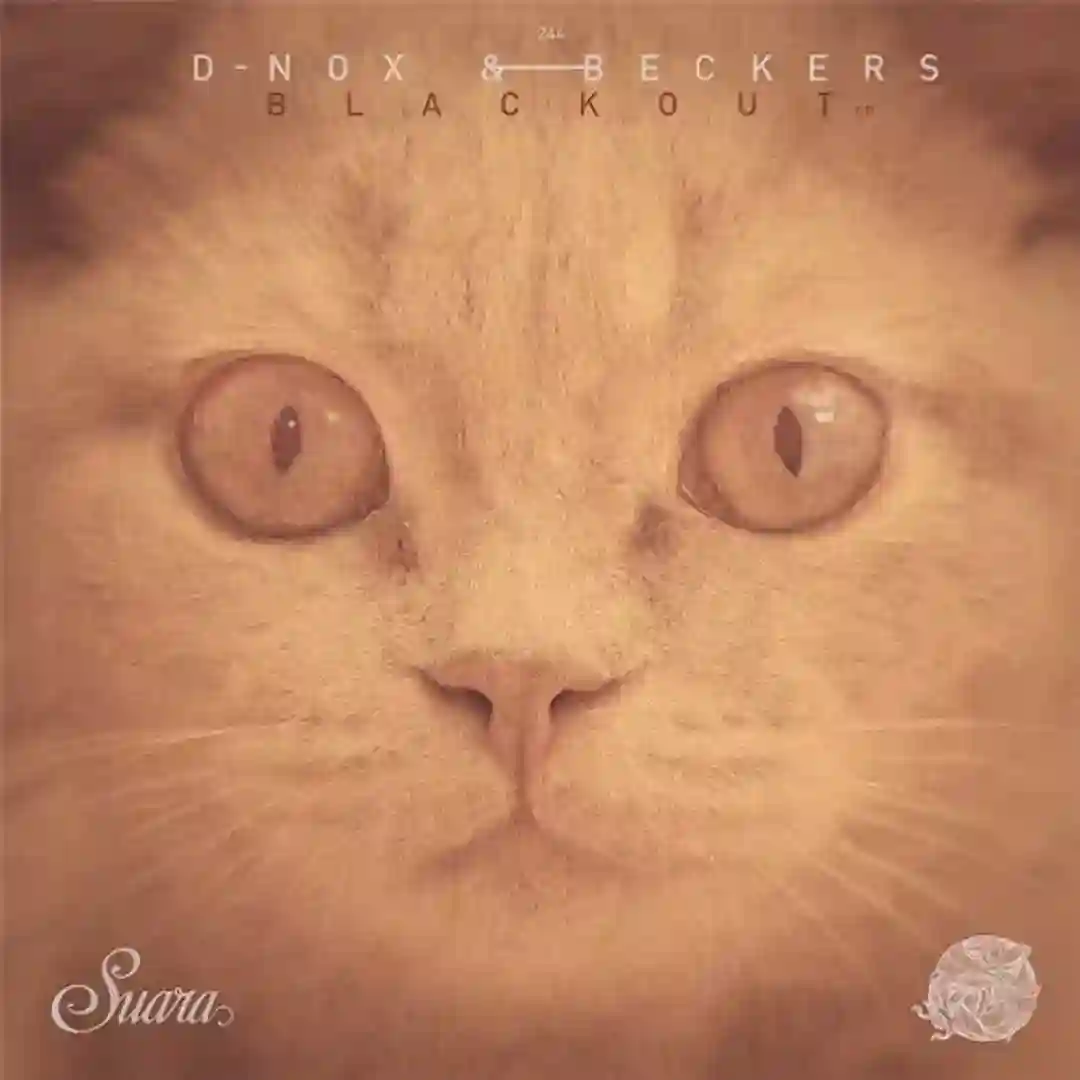 Blackout (Original Mix) cover
