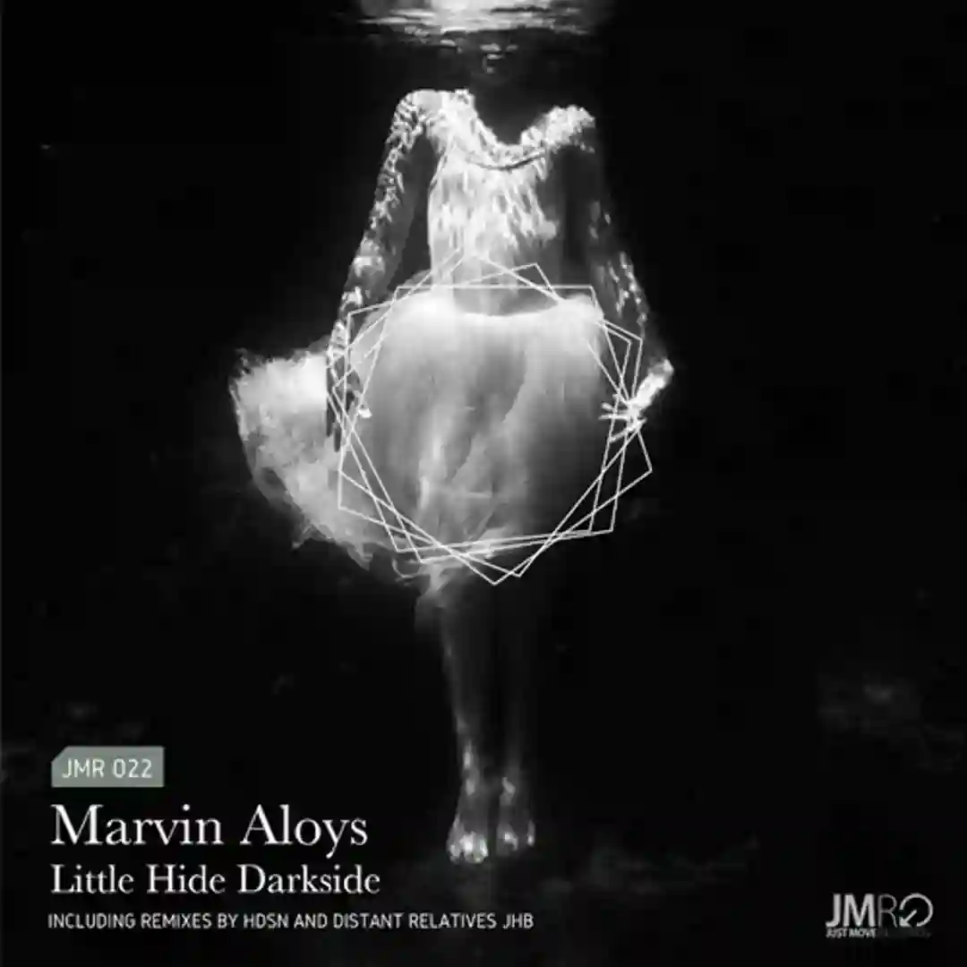 Little Hide Darkside (Distant Relatives JHB Remix) cover