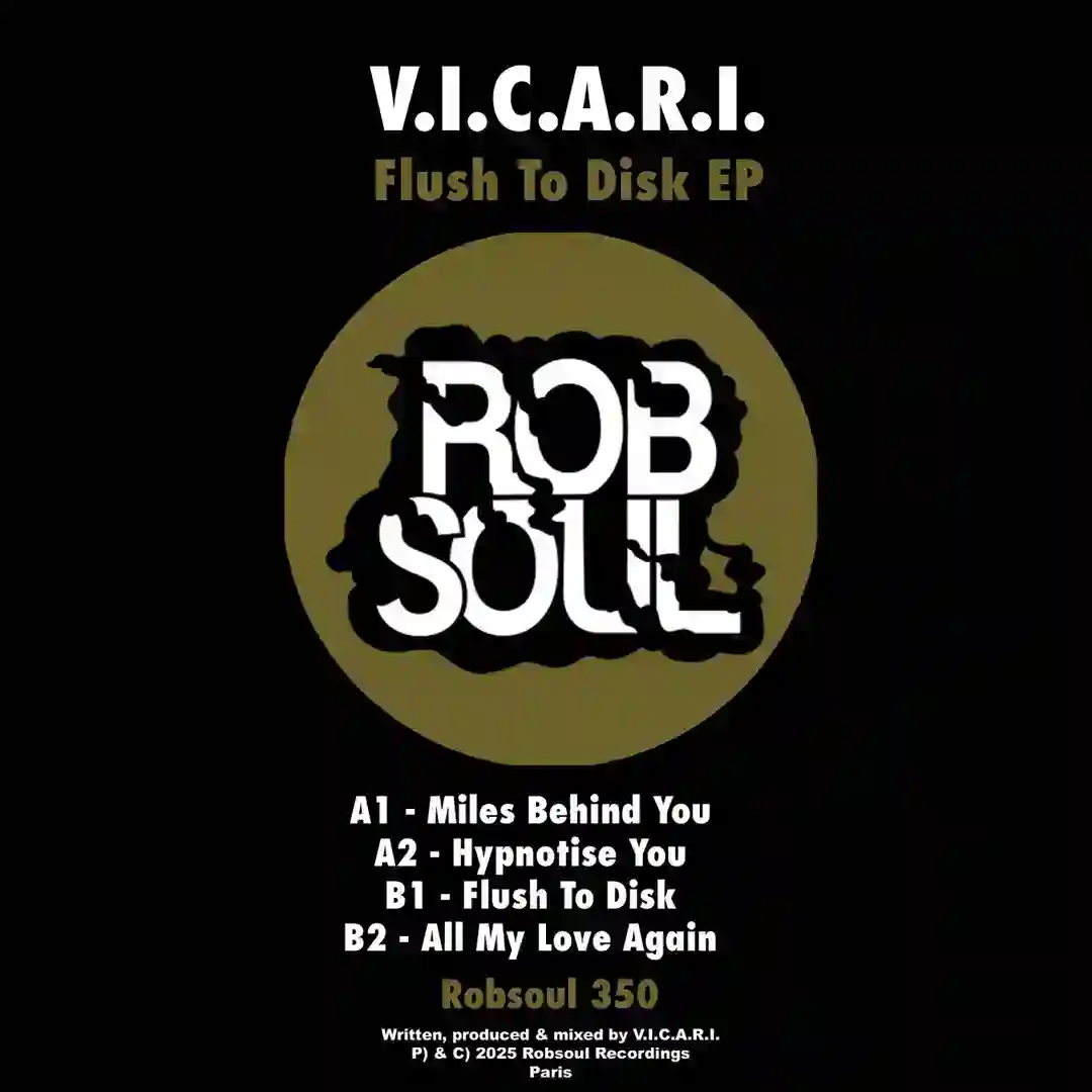 Flush To Disk (Original Mix) cover