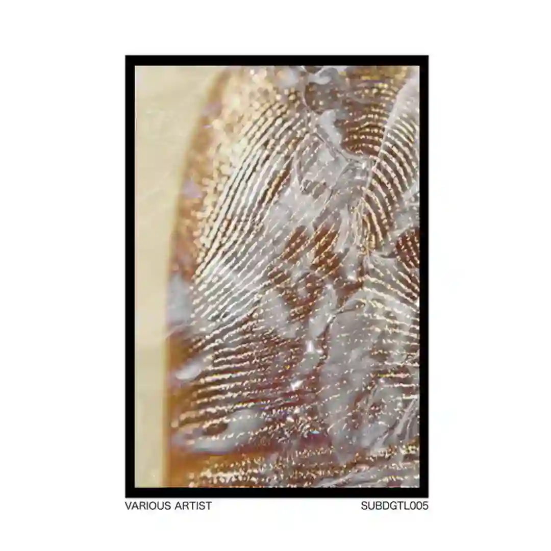 SUBDGTL005 cover
