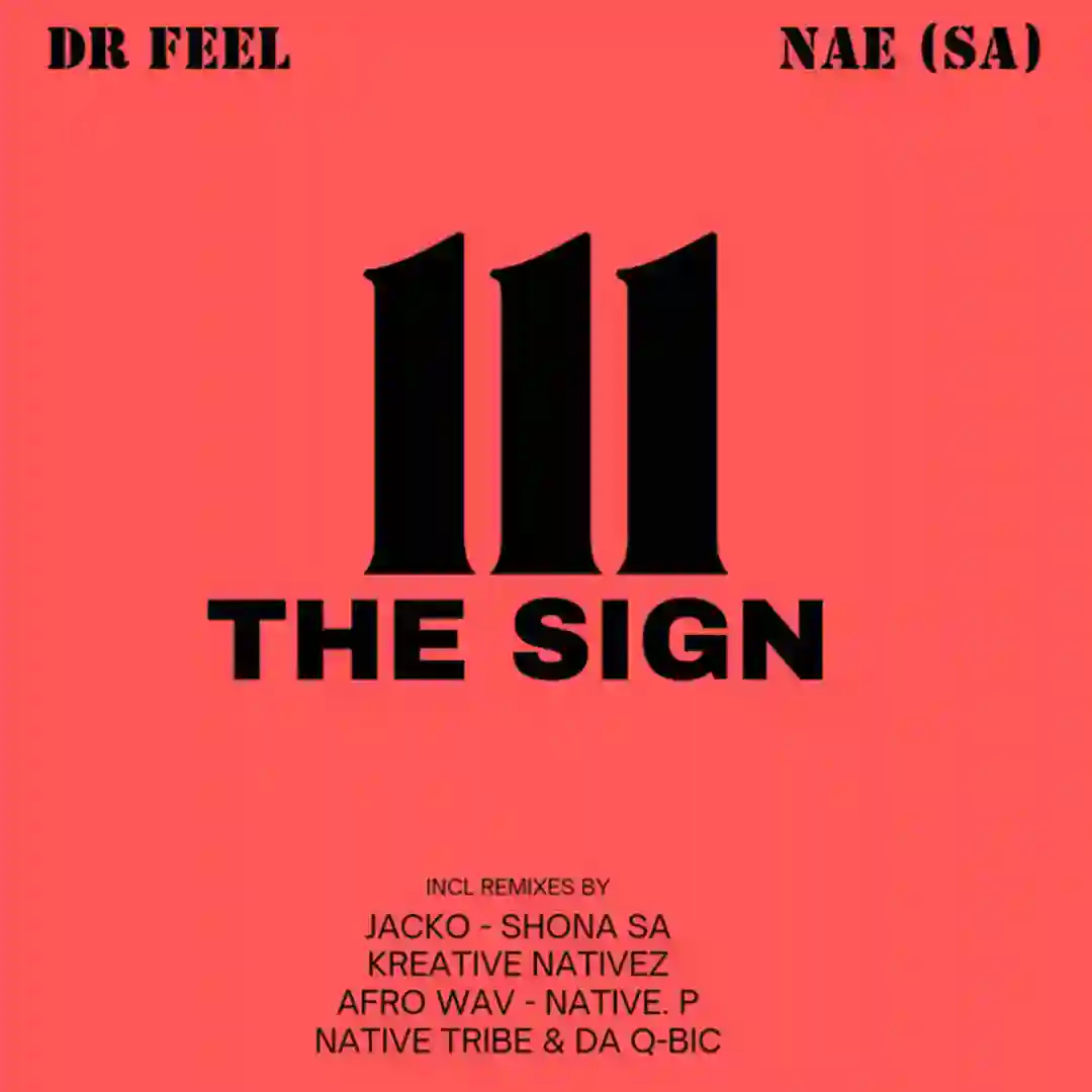The Sign (Shona SA Remix) cover