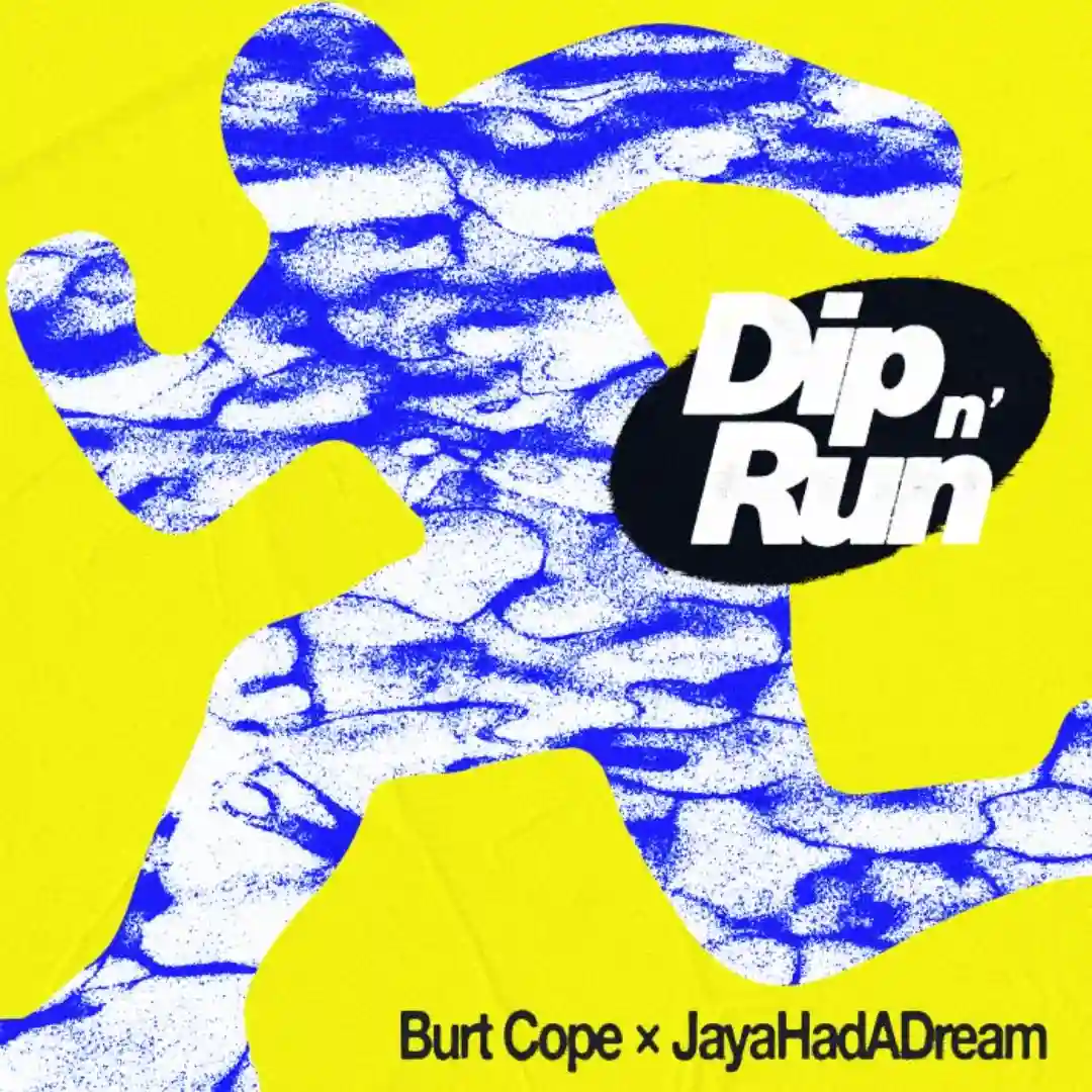Dip 'N Run (Extended Mix) cover