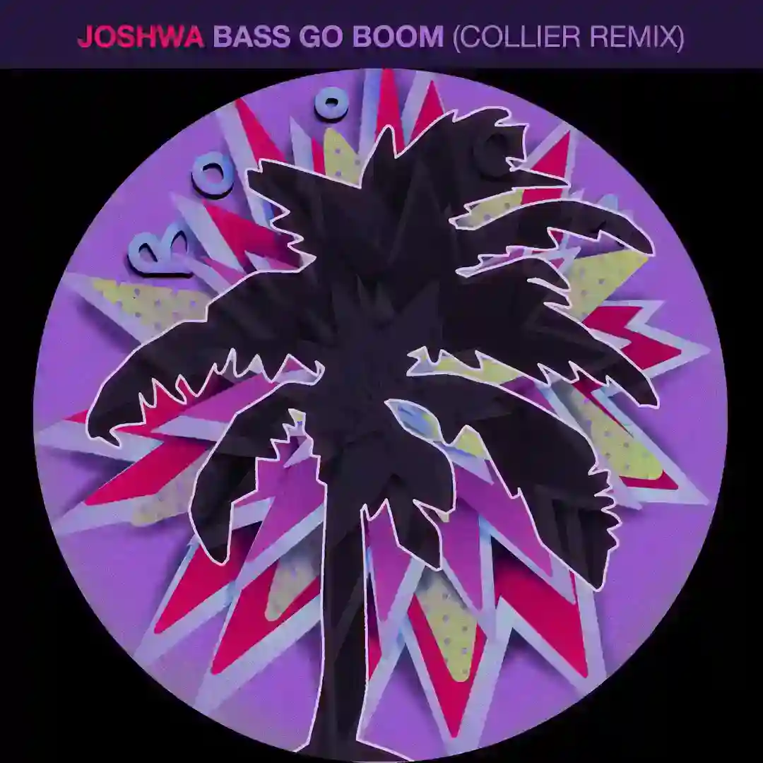 Bass Go Boom (Collier Remix) cover