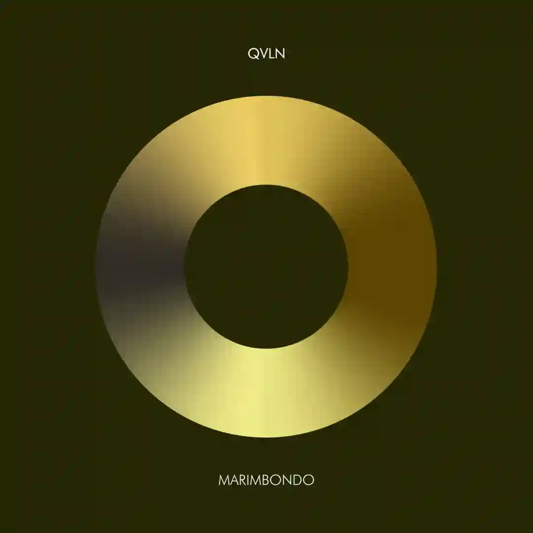 Marimbondo (OYOBI Remix) cover