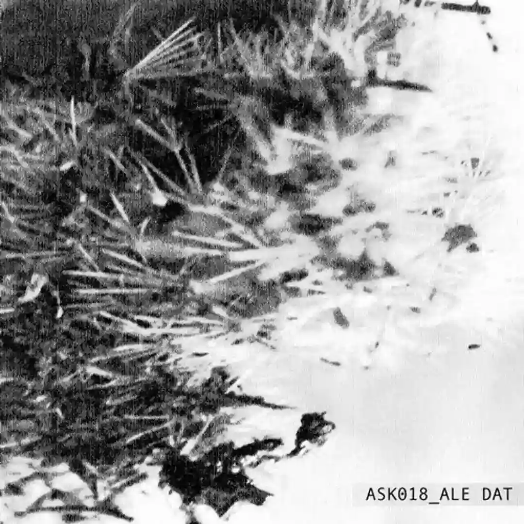 Collect Raw (Original Mix) cover