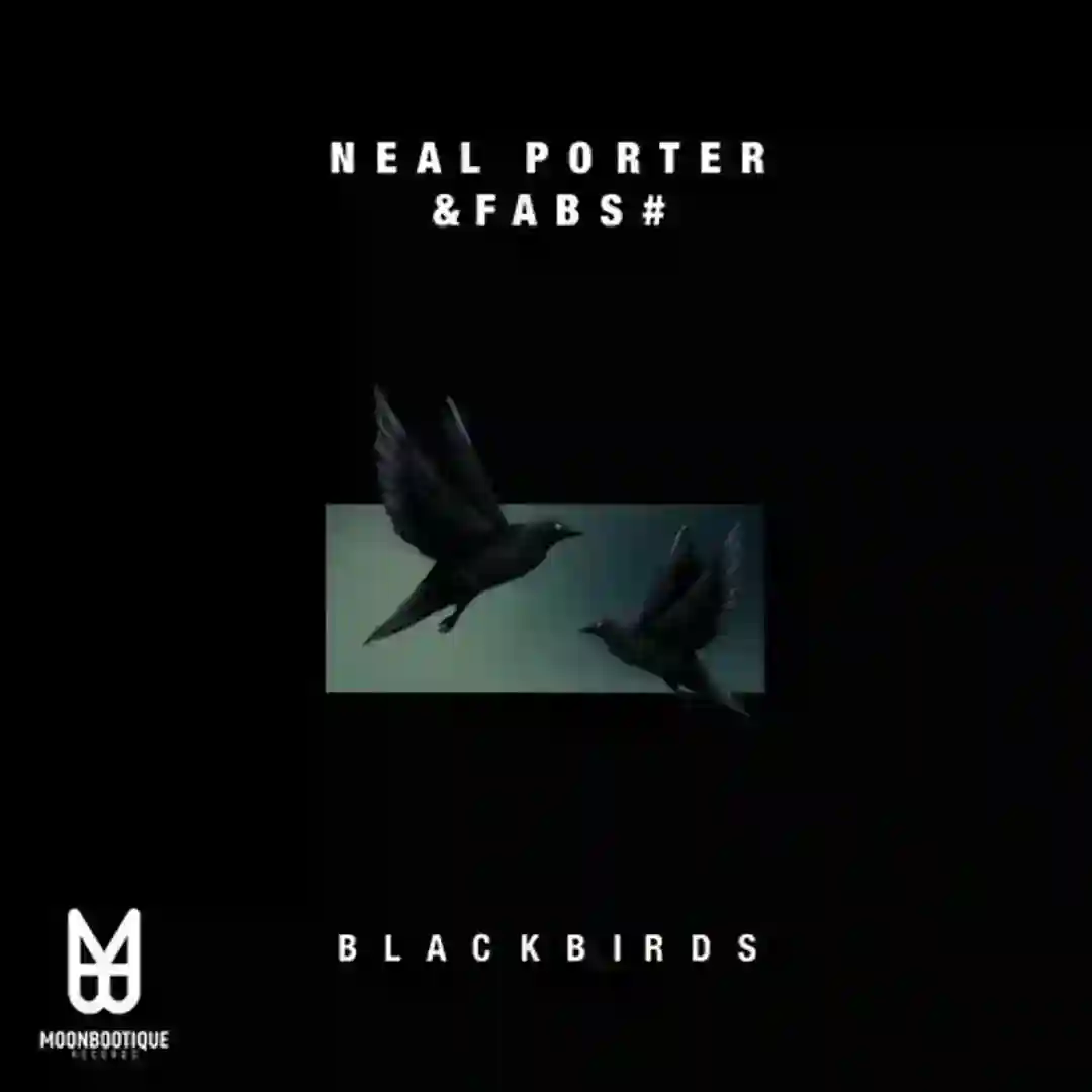 Blackbirds (Bedran Remix) cover
