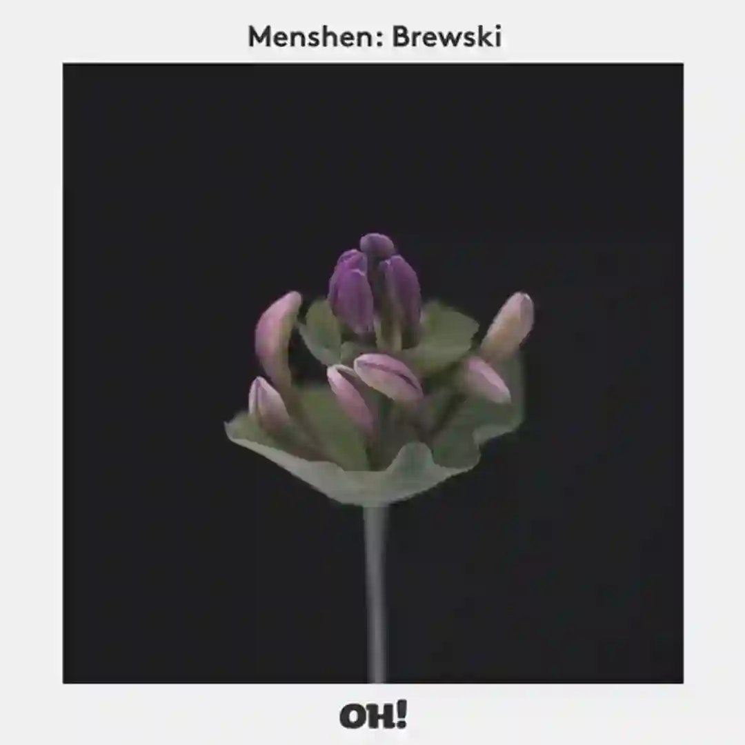Brewski (Original Mix) cover