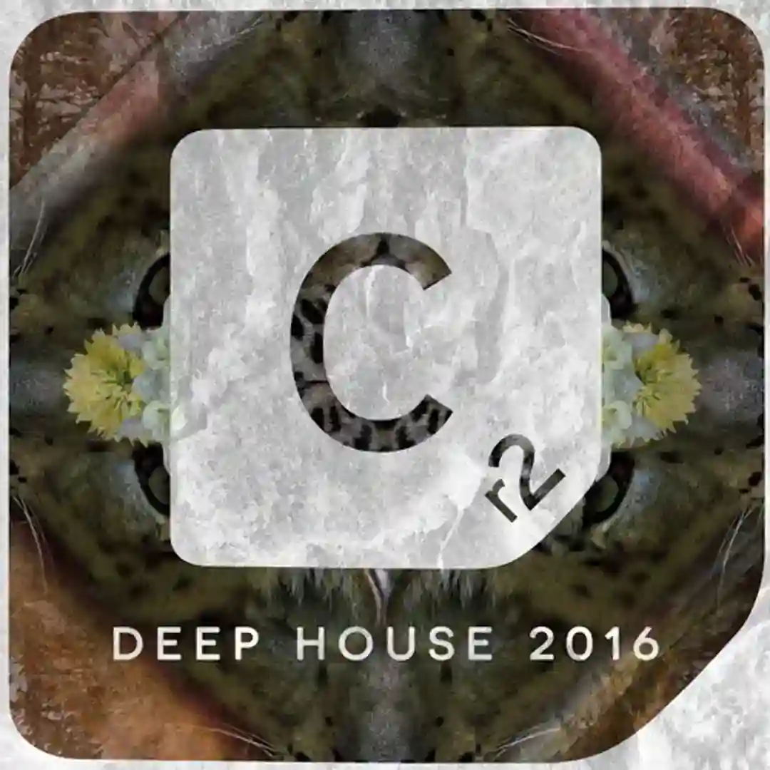 Low Frequency (Original Mix) cover