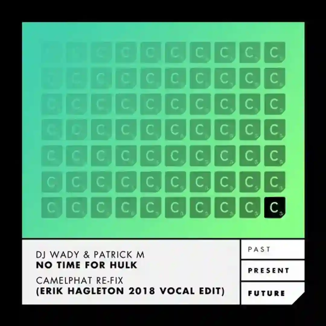 No Time For Hulk - Camelphat Re-Fix - (Erik Hagleton 2018 Vocal Edit) cover