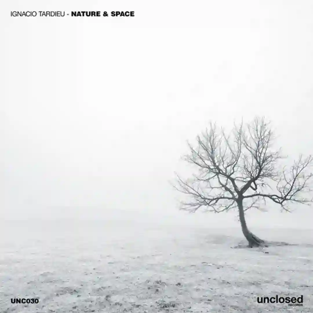 Primitive Absence (Original Mix) cover