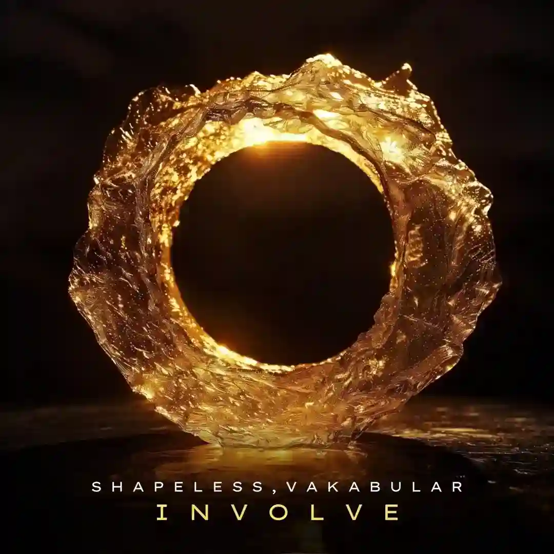 Involve (Extended Mix) cover