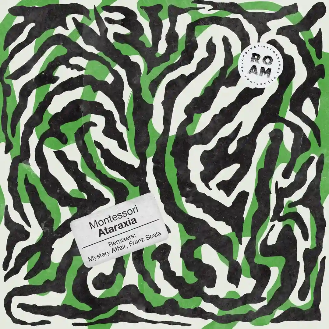 Rollero (Original Mix) cover