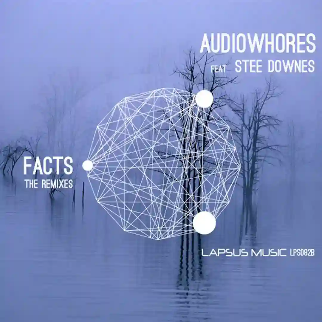 Facts (Noir's Raw Club Cut) cover