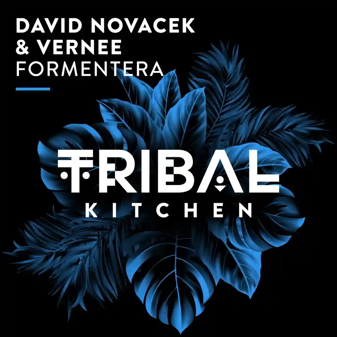 Formentera (Extended Mix) cover
