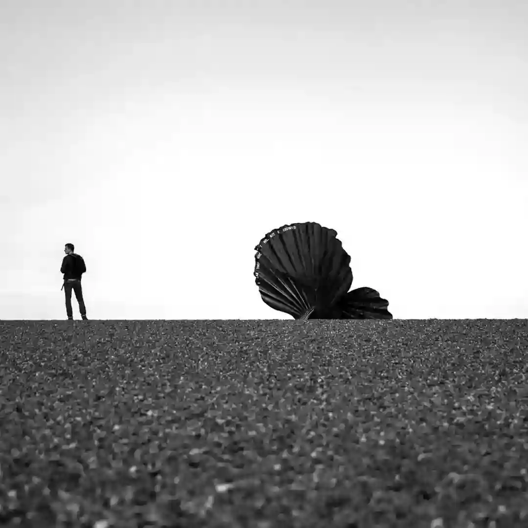 Morning Sesh (Original Mix) cover