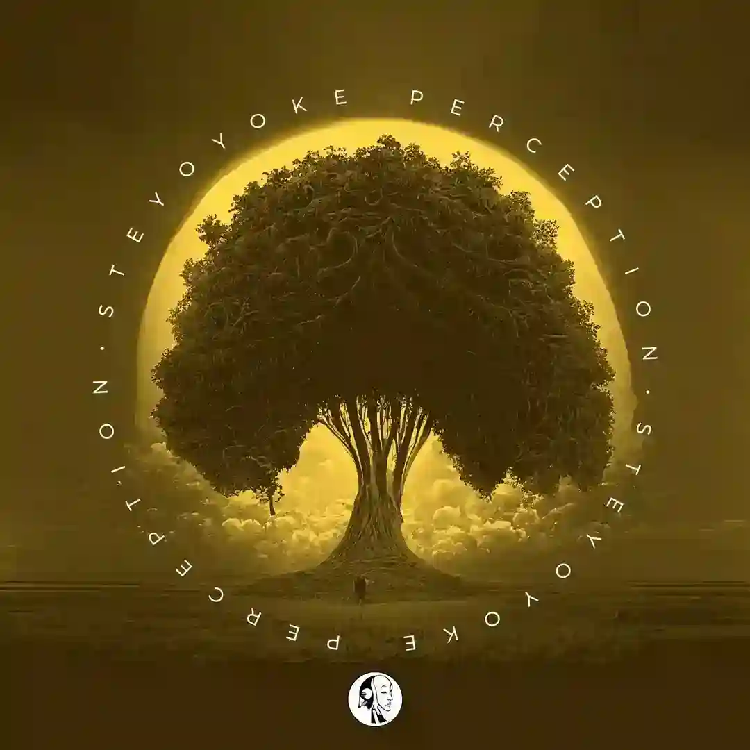 Steyoyoke Perception, Vol. 10 cover