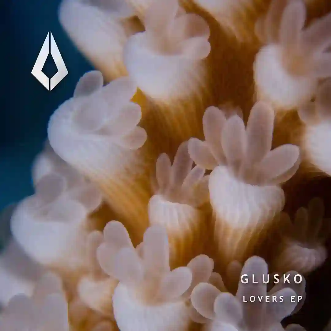 Lovers cover