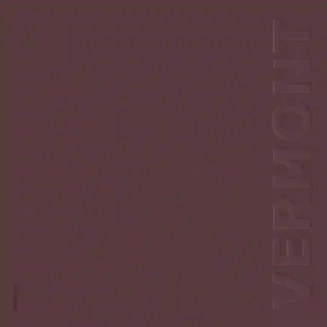Dschuna (Dixon Mix) cover