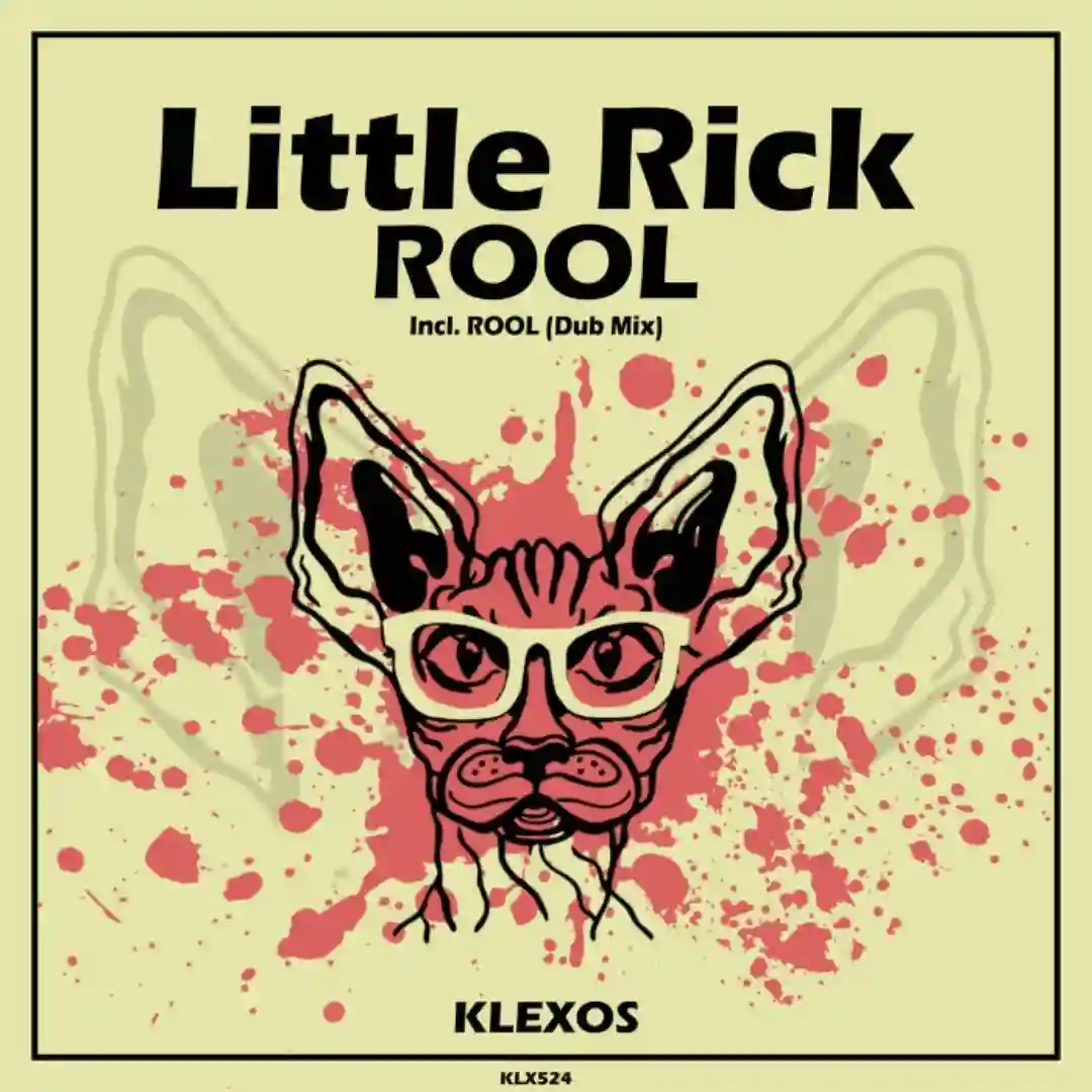ROOL (Dub Mix) cover