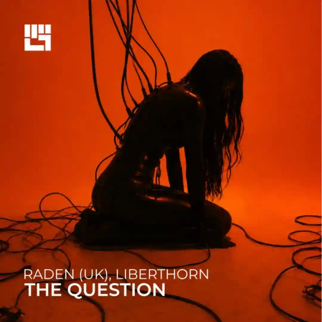 The Question (Original Mix) cover
