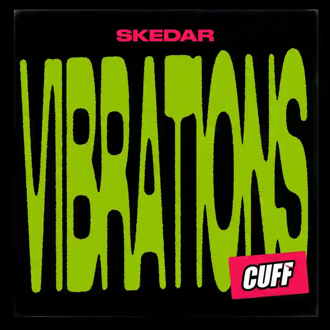 Vibrations (Original Mix) cover
