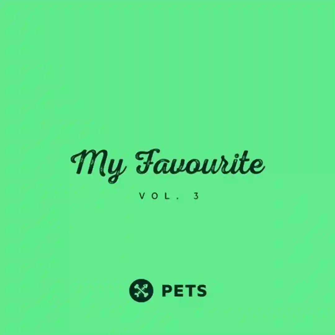 Voodoo Knight (Catz 'n Dogz Dub Mix) cover