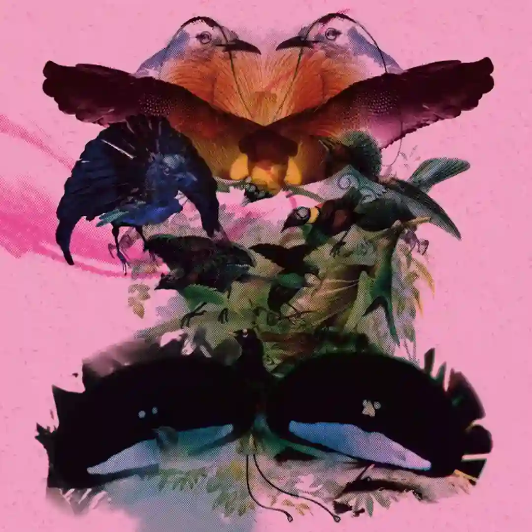 Wahness cover