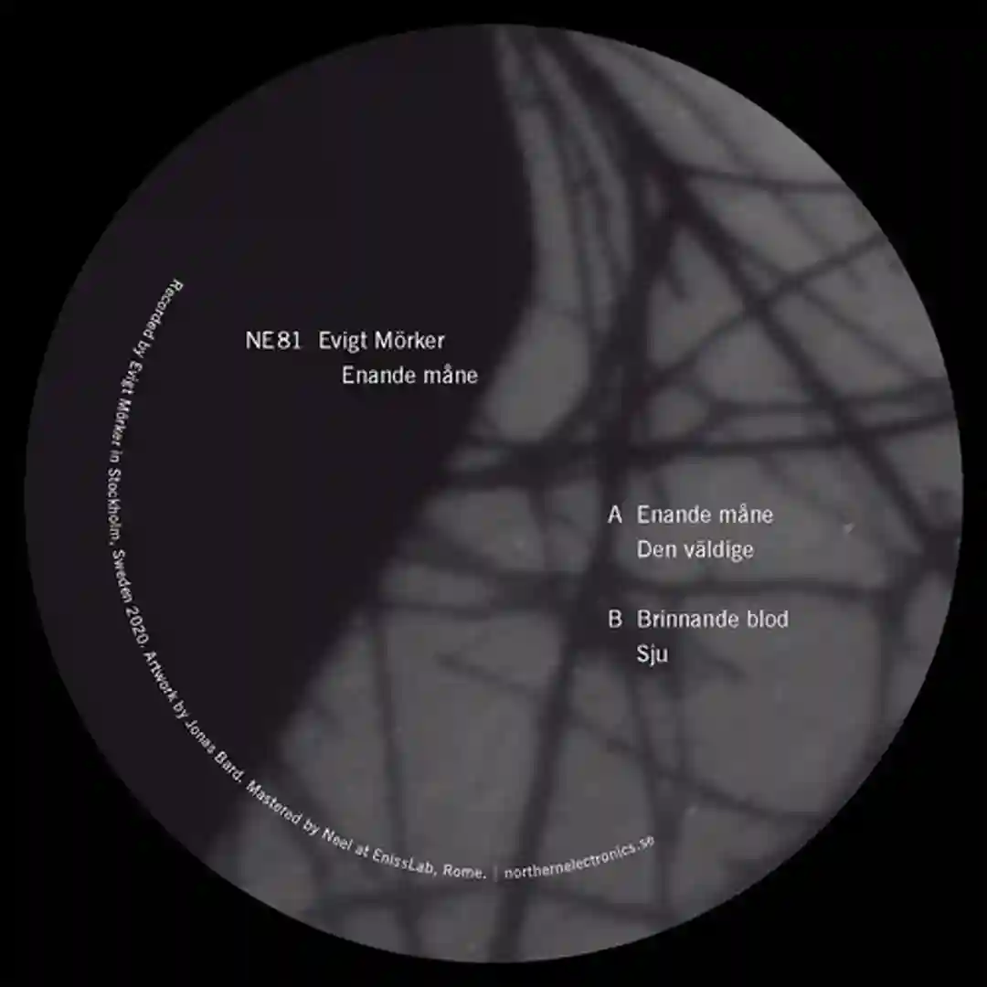 Brinnande blod cover