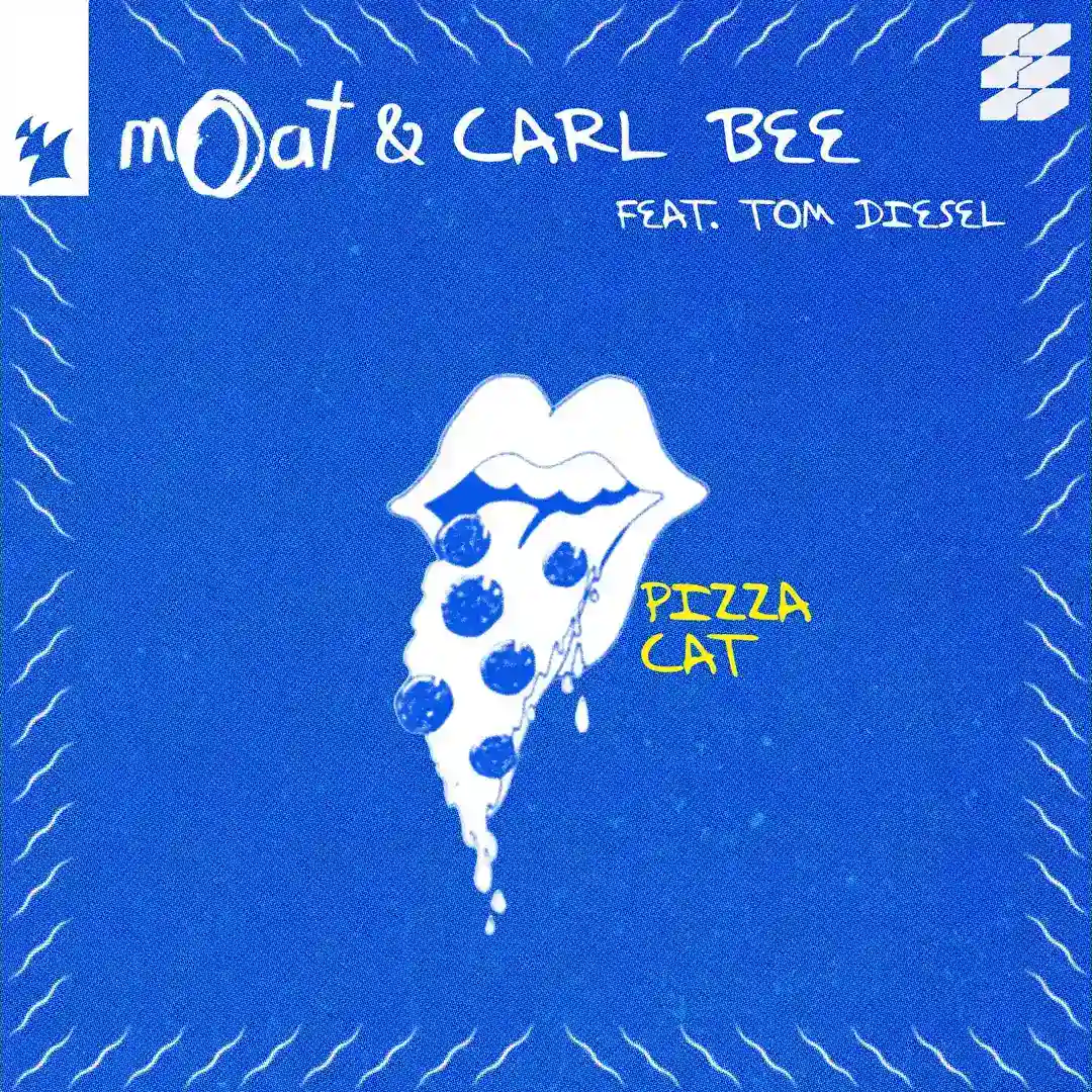Pizza Cat cover