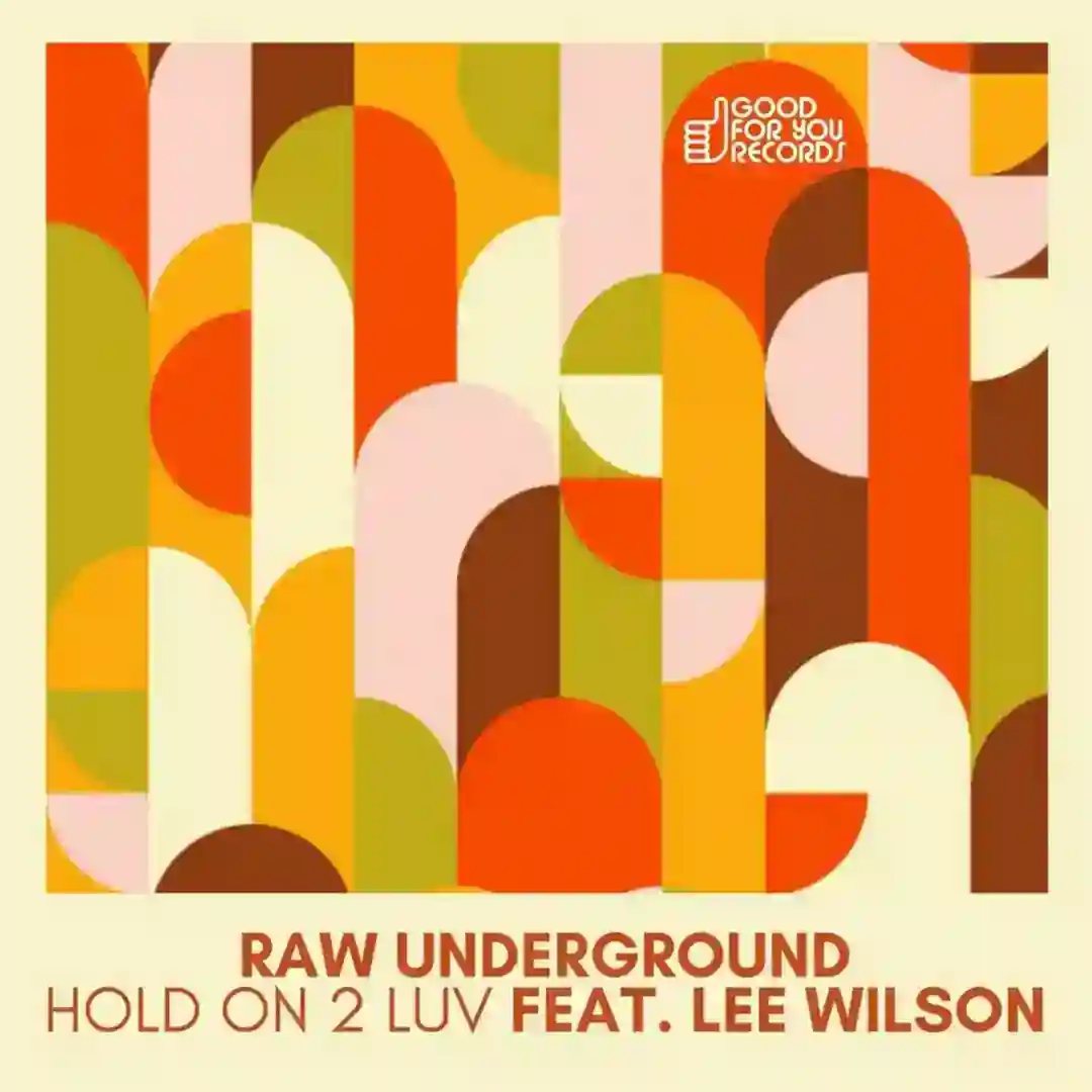 Hold On 2 Luv (Original Mix) cover