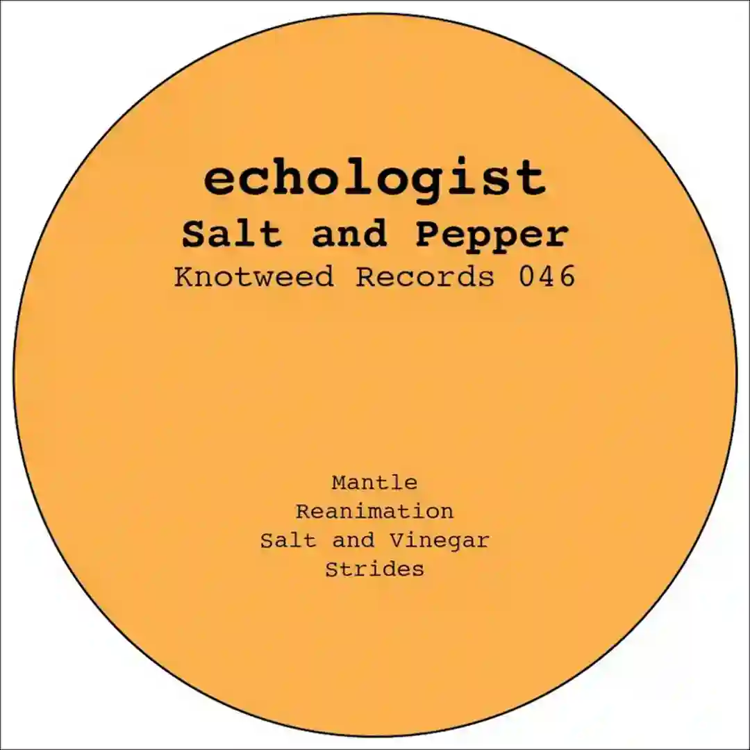 Salt and Vinegar cover