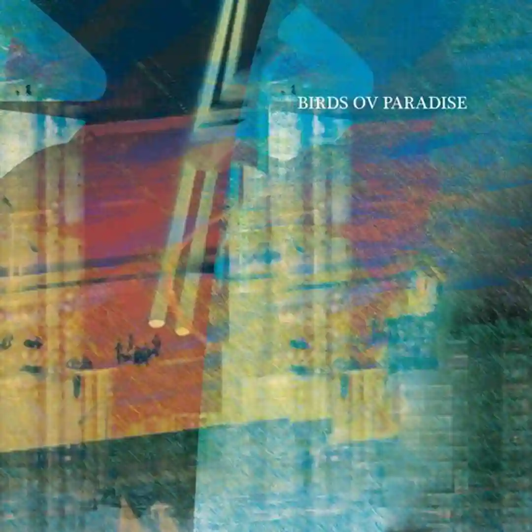 Plaskis (Original Mix) cover