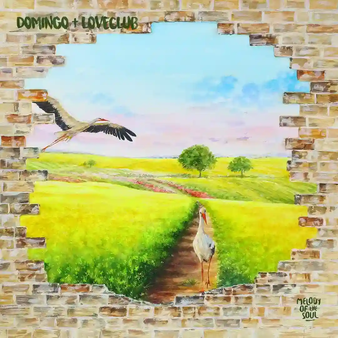 Seasons (Original Mix) cover
