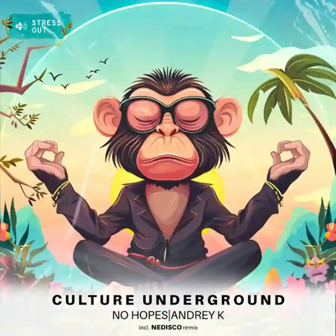 Culture Underground (Nedisco Remix) cover