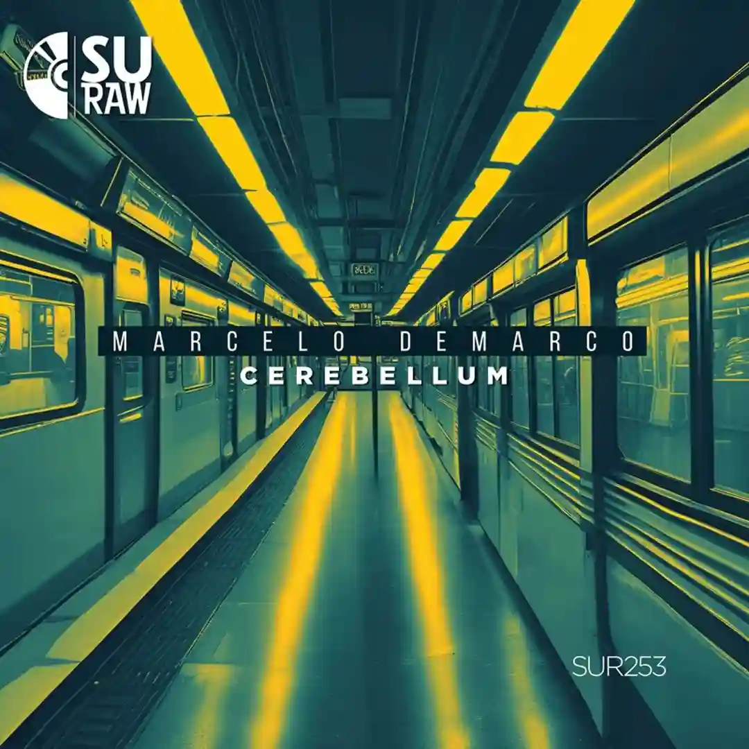Cerebellum cover