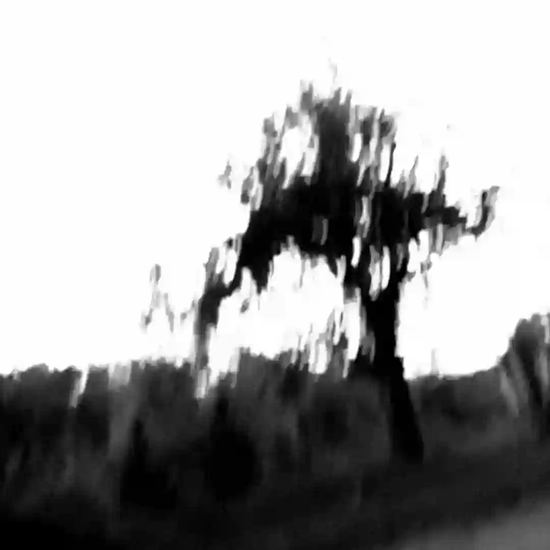 Dissapear (Original Mix) cover