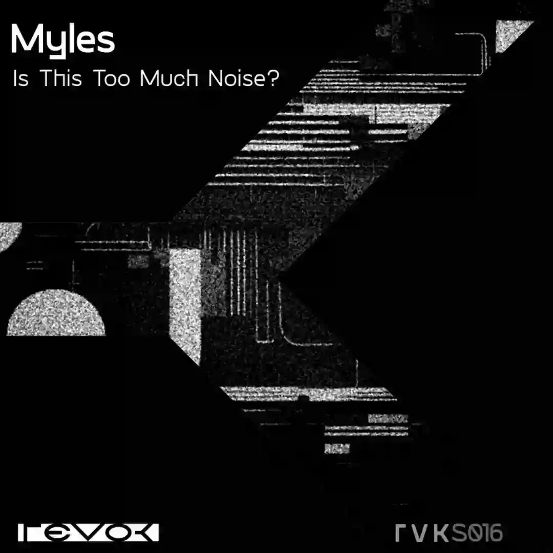 Is This Too Much Noise? cover
