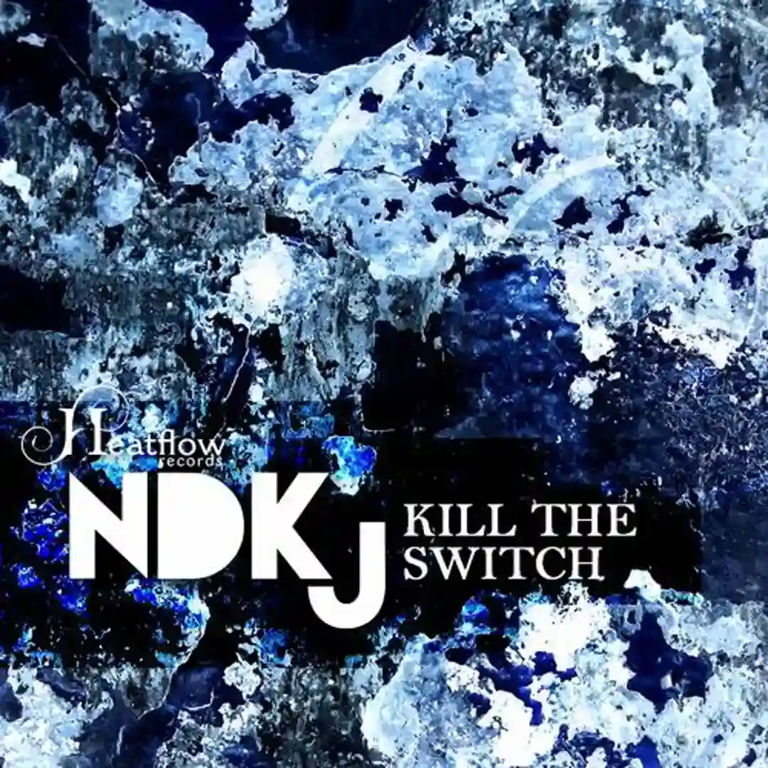 Kill The Switch cover