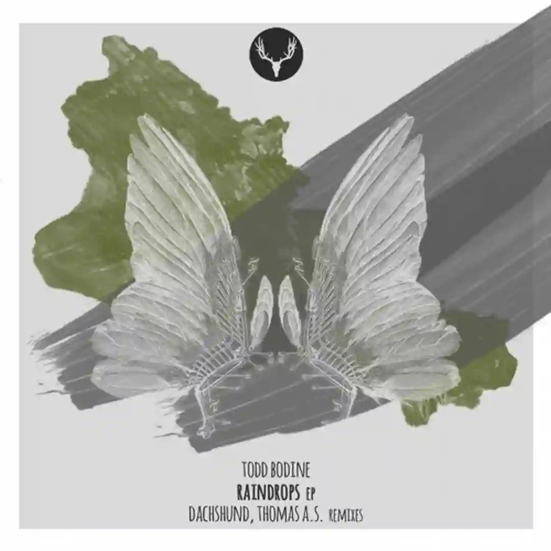 Raindrops cover