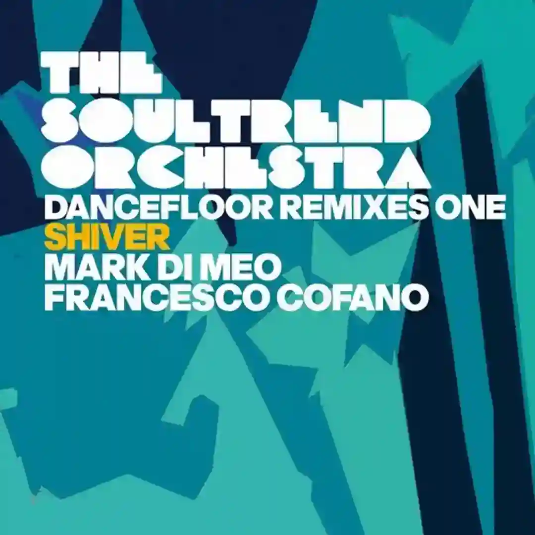 Shiver feat. Frankie Pearl (Original Mix) cover