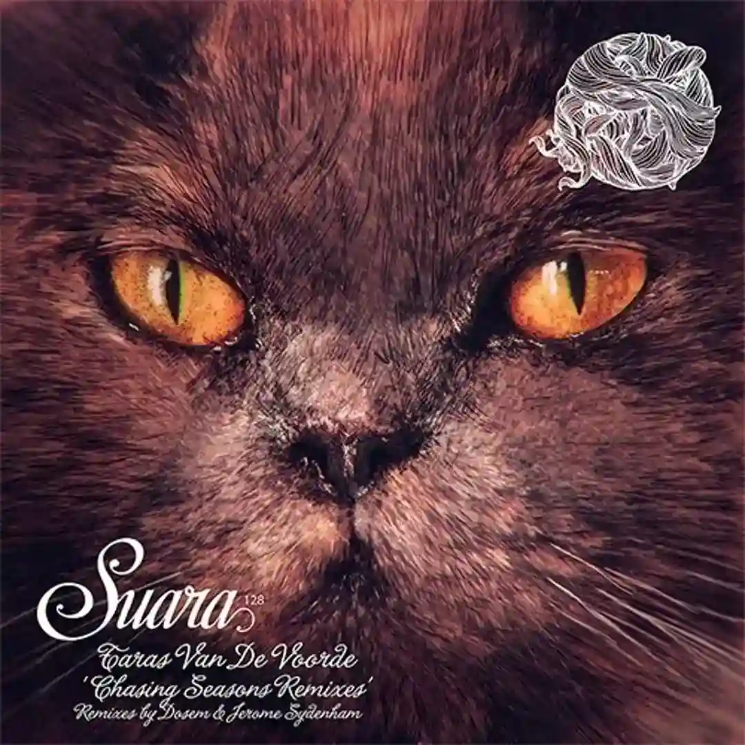 Chasing Autumns (Dosem Remix) Suara MasterÿChasing Autumns (Dosem Remix) Suara Master cover
