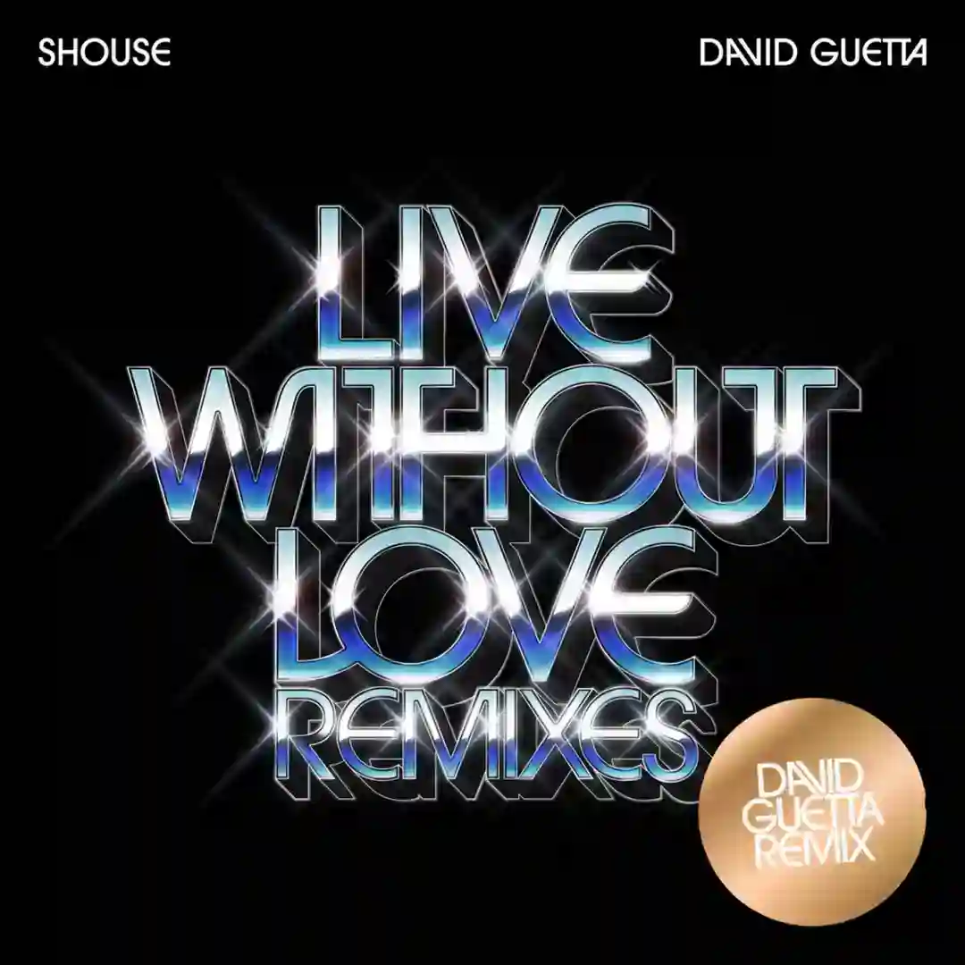 Live Without Love (David Guetta Remix) cover
