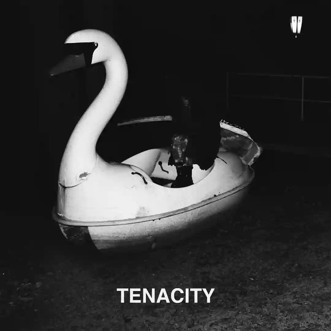 Tidal Reshape (Original Mix) cover