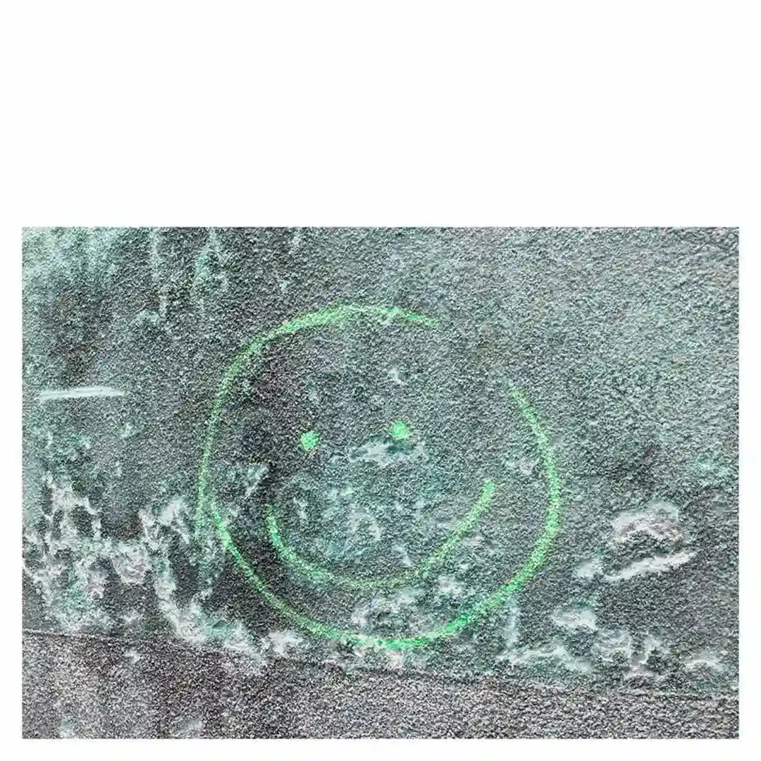 Intronics cover
